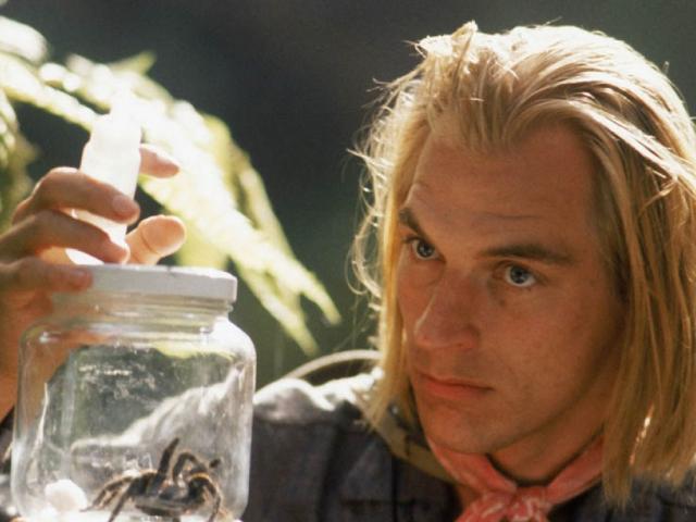 Képtalálat a következőre: „arachnofóbia film”