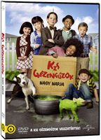 Kis gézengúzok nagy napja DVD Kis gézengúzok nagy napja DVD