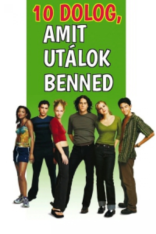 10 dolog, amit utálok benned *Szinkronizált - Import - Heath Ledger* DVD