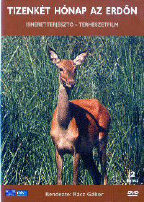 12 hónap az erdőn (2 DVD) *Extra változat - Antikvár - Kiváló állapotú* DVD