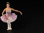 A Ballerinas Tale