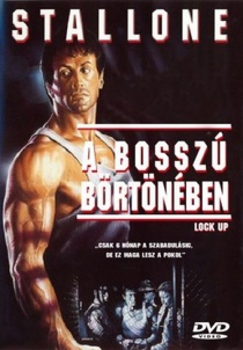 A bosszú börtönében *Antikvár - Kiváló állapotú* DVD