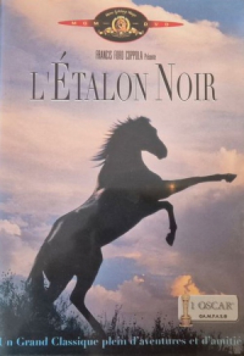 A fekete paripa DVD