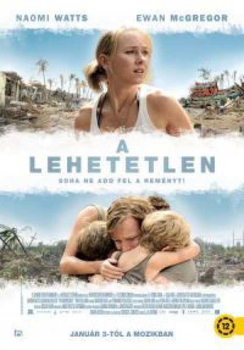 A lehetetlen *Naomi Watts - Ewan McGregor - Antikvár - Kiváló állapotú* DVD