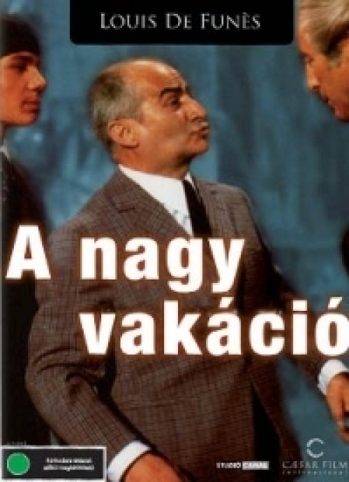 A nagy vakáció  *Antikvár - Kiváló állapotú* DVD