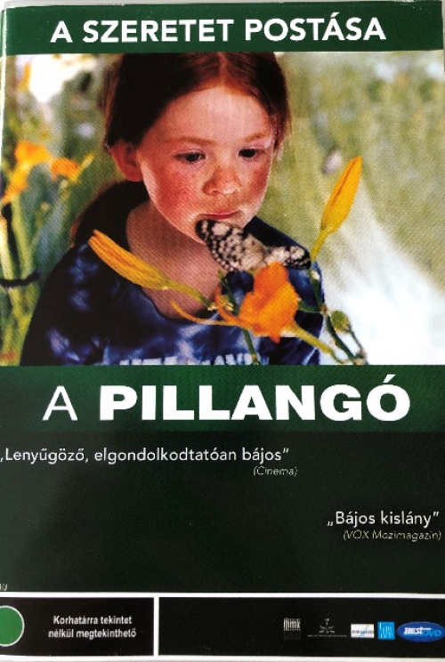 A pillangó DVD