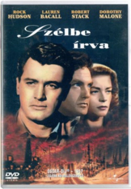 A szélbe írva DVD