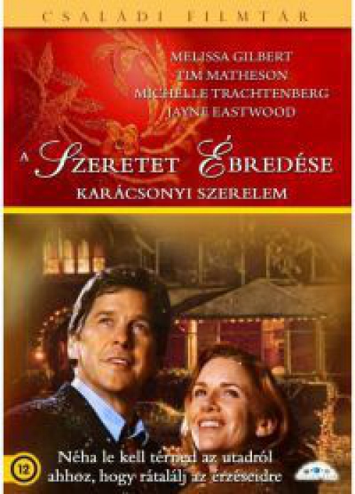 A szeretet ébredése - Karácsonyi szerelem DVD