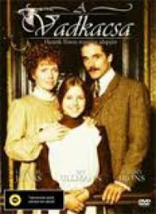 A vadkacsa (BBC) *Jeremy Irons - Antikvár - Kiváló állapotú* DVD