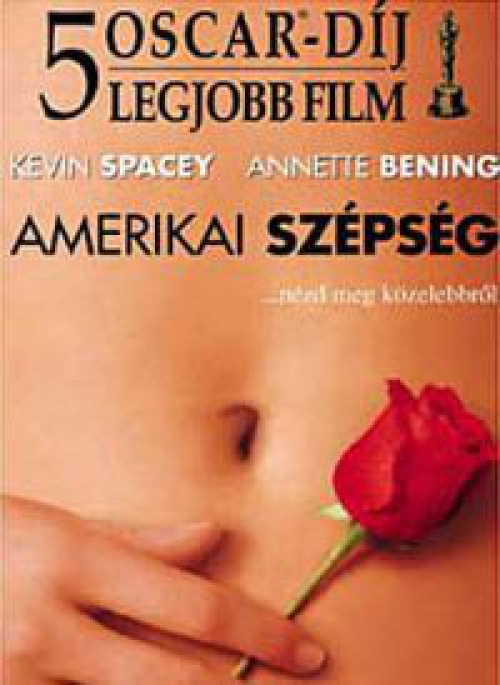 Amerikai szépség *Antikvár - Kiváló állapotú* DVD