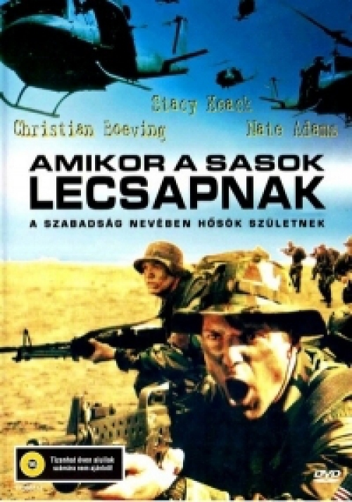 Amikor a sasok lecsapnak *Antikvár - Kiváló állapotú* DVD