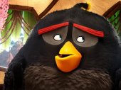 Angry Birds: A film