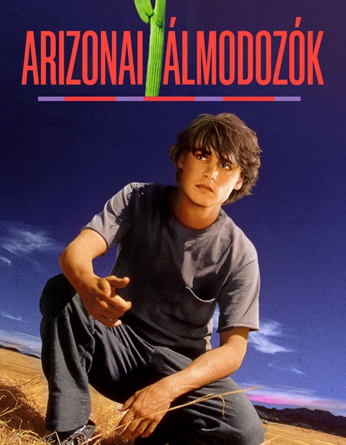 Arizónai álmodozók *Johnny Depp - Antikvár - Kiváló állapotú* DVD