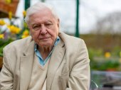 Attenborough: A dal ereje