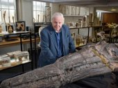 Attenborough és a vízisárkány