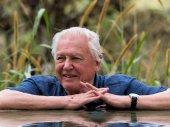 Attenborough világkörüli kalandjai