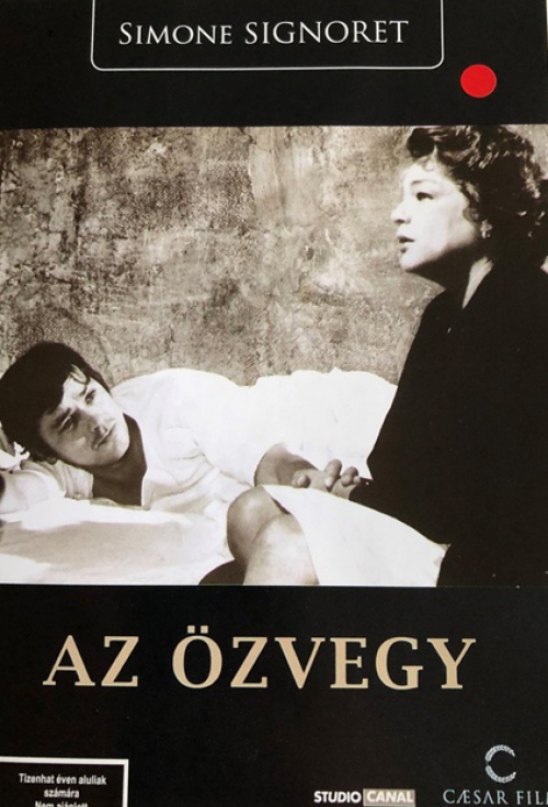 Az Özvegy *Delon - Simone Signoret - Antikvár - Kiváló állapotú* DVD