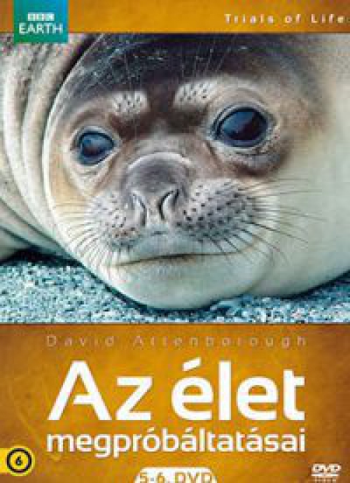 Az élet megpróbáltatásai 5-6. (2 DVD) DVD