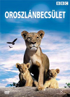 Az oroszlánbecsület DVD