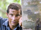 Bear Grylls