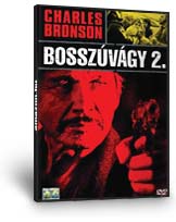 Bosszúvágy 2. DVD