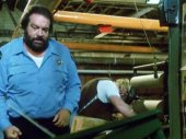 Bud Spencer