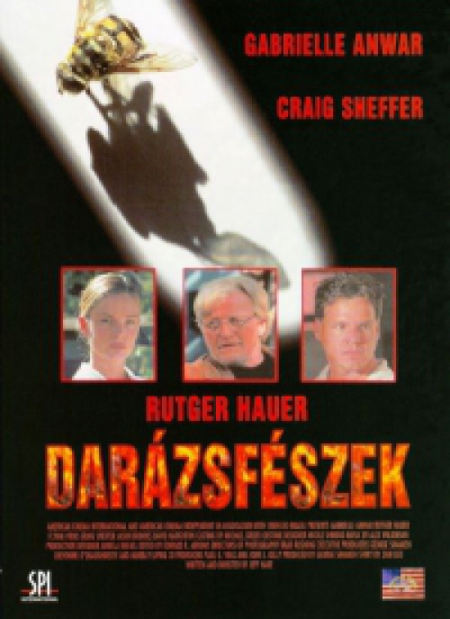 Darázsfészek DVD