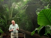 David Attenborough és a növények birodalma