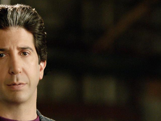 David Schwimmer Filmek