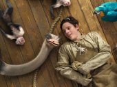 Dolittle