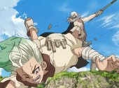 Dr. Stone