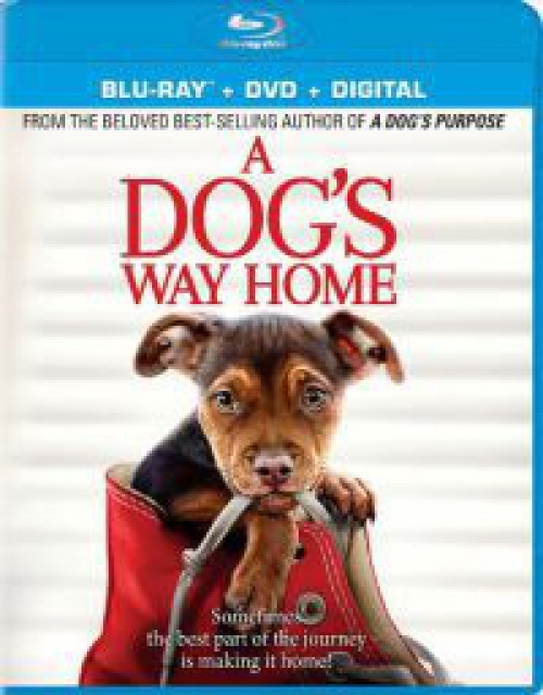 Egy kutya hazatér *Import-Magyar szinkronnal* Blu-ray