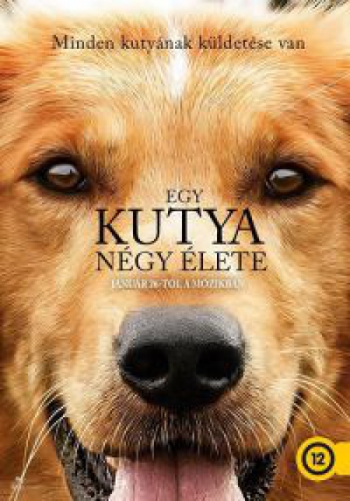 Egy kutya négy élete *Antikvár-Kiváló állapotú* DVD