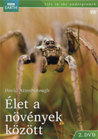 Élet a növények között DVD