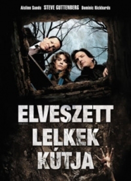 Elveszett lelkek kútja  *Antikvár - Kiváló állapotú* DVD