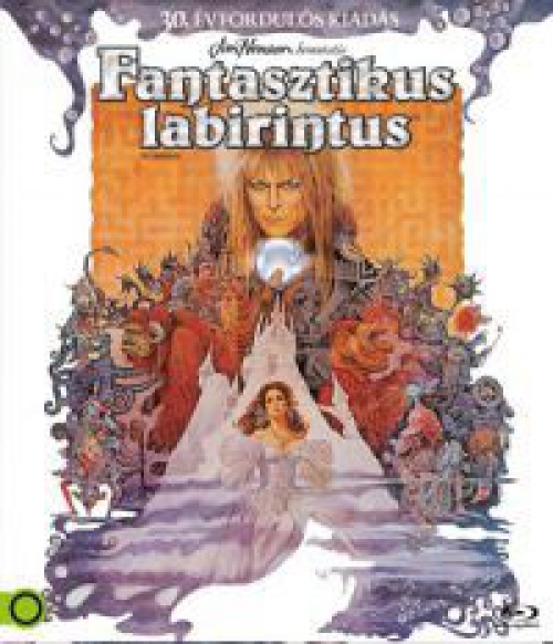 Fantasztikus labirintus *Magyar kiadás-Antikvár-Kiváló állapotú* Blu-ray