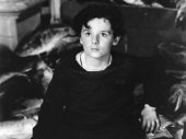Freddie Bartholomew