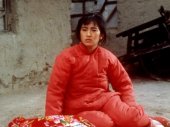 Gong Li