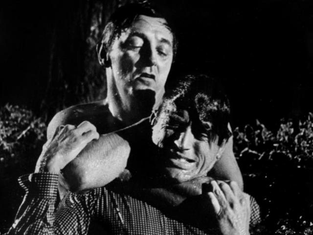 Gregory-Peck--40342.jpg