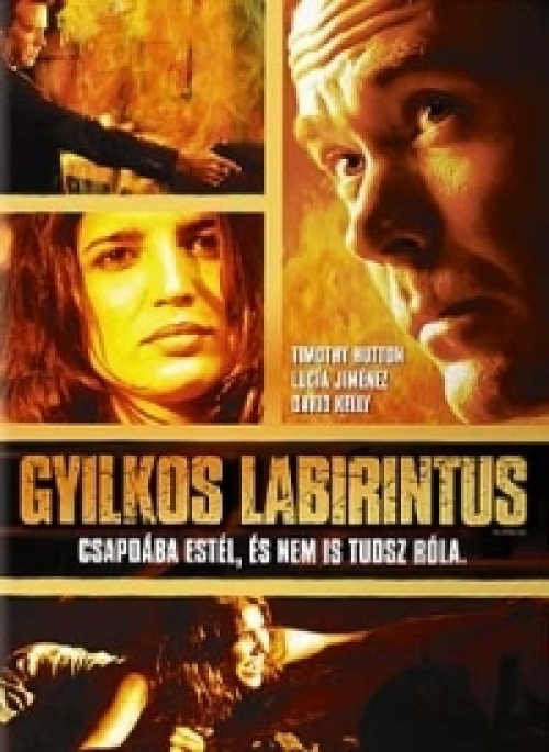 Gyilkos labirintus *Timothy Hutton- Antikvár - Kiváló állapotú* DVD