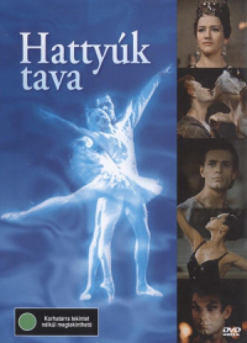 Hattyúk tava *Orosz balettfilm*  *Antikvár - Kiváló állapotú* DVD