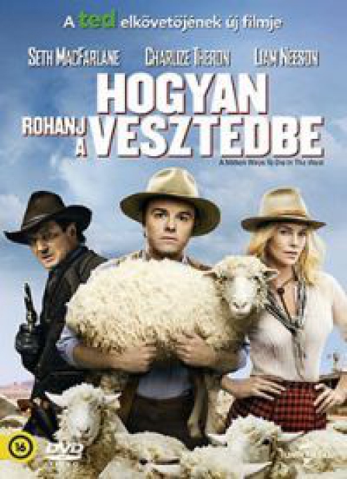 Hogyan rohanj a vesztedbe * Charlize Theron - Liam Neeson - Antikvár - Kiváló állapotú* DVD