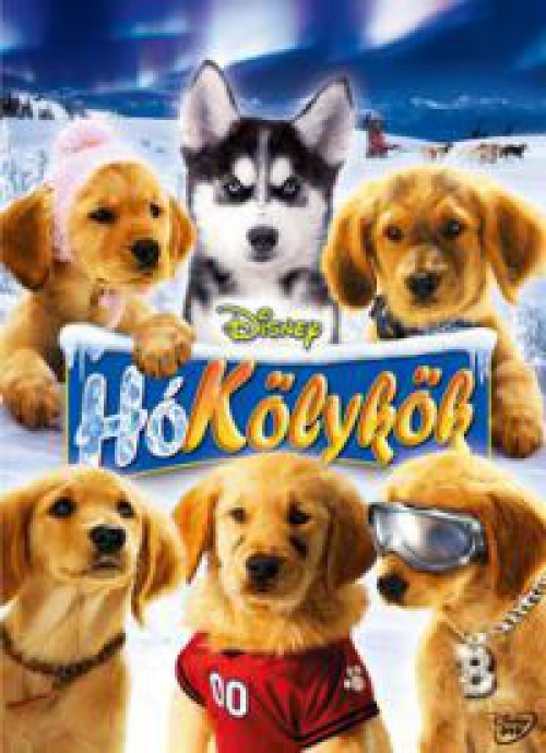 Hókölykök *Antikvár - Kiváló állapotú* DVD