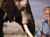 Jumbo - Egy híres elefánt élete