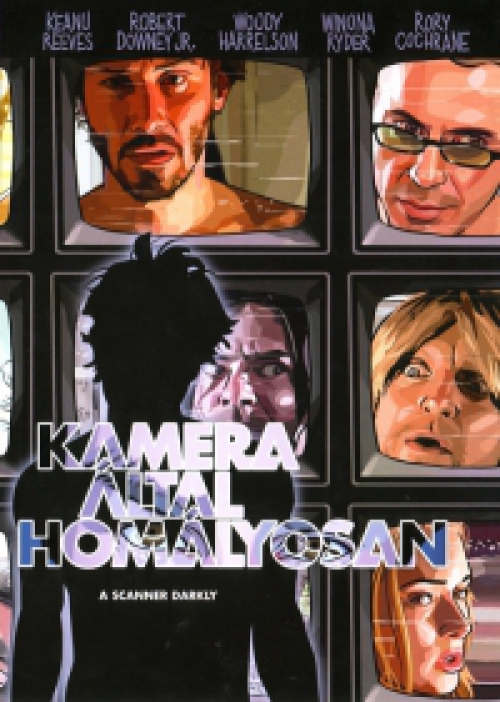 Kamera által homályosan *Keanu Reeves - Robert Downey Jr. - Antikvár - Kiváló állapotú* DVD