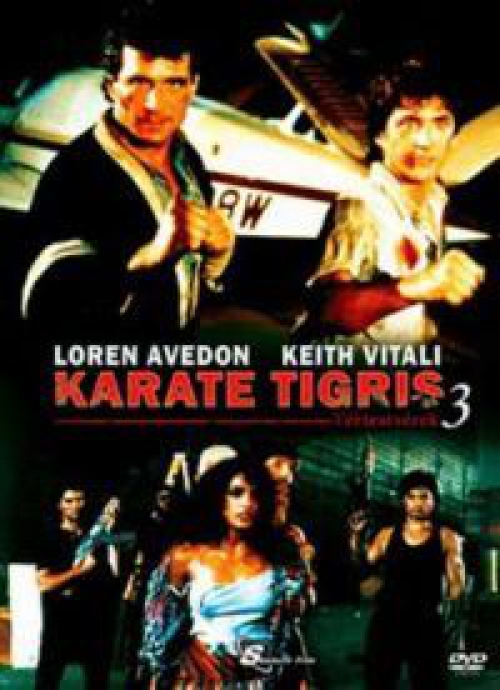 Karate Tigris 3. - Extrakemény Kickboxer *Antikvár - Kiváló állapotú* DVD