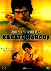 Karate harcos DVD