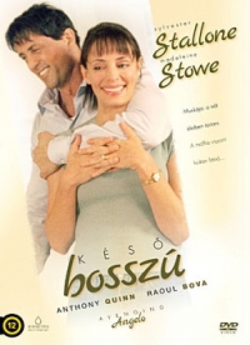 Késő bosszú  *Antikvár - Kiváló állapotú* DVD