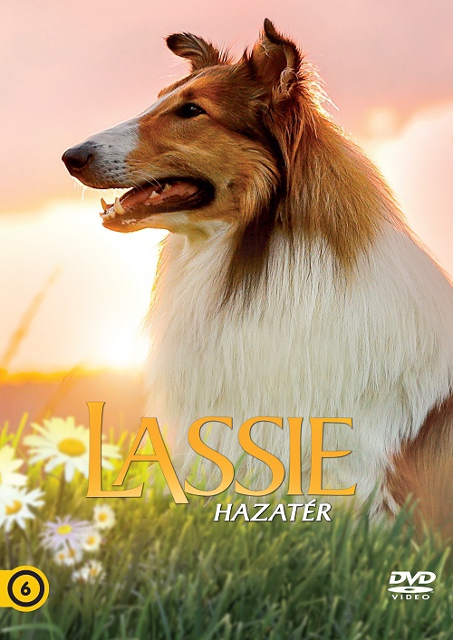 Lassie hazatér DVD