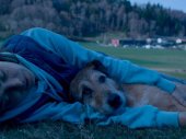 Le procés du chien